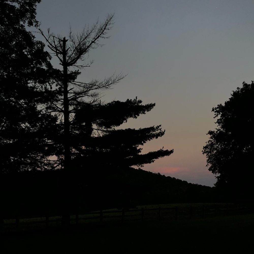 Meet your Posher, Faith